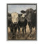 «All In Cow Family», art mural encadré sur toile flottante par Carla D'aguanno