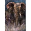 Bergerac - Wrapped Canvas Painting-19914564