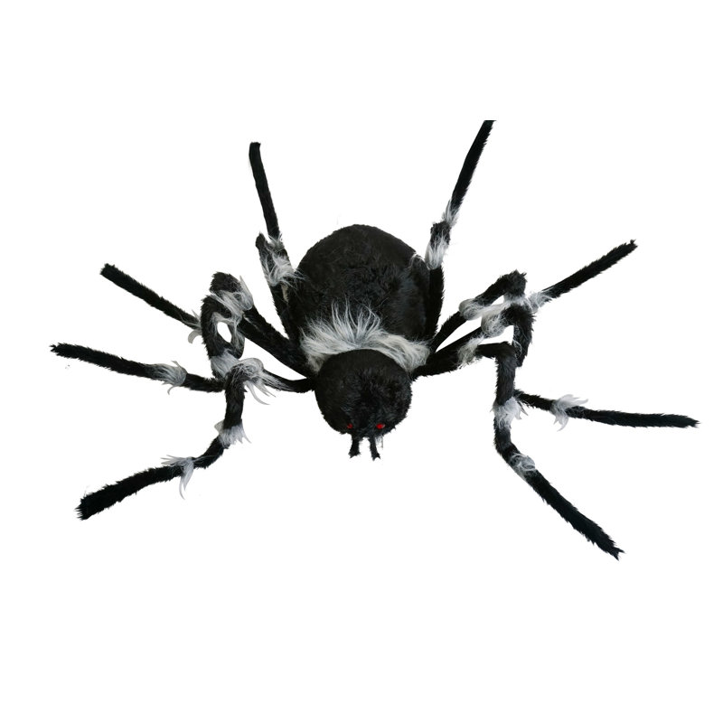 Serre Large araignée gigantesque