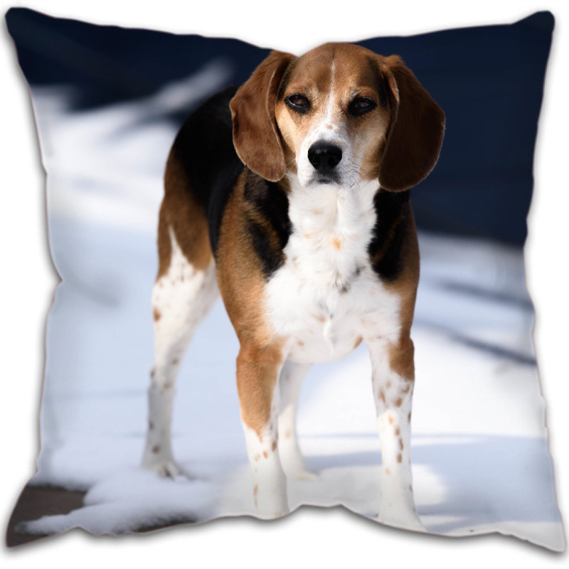 Maxen Square Cushion