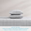 Ensemble de draps en coton percale Tommy Bahama-123703116-88500295