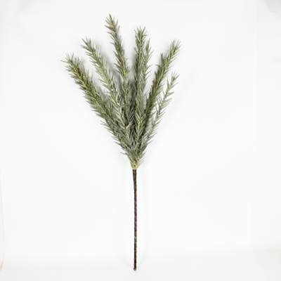 Bourre de vase plante Arron