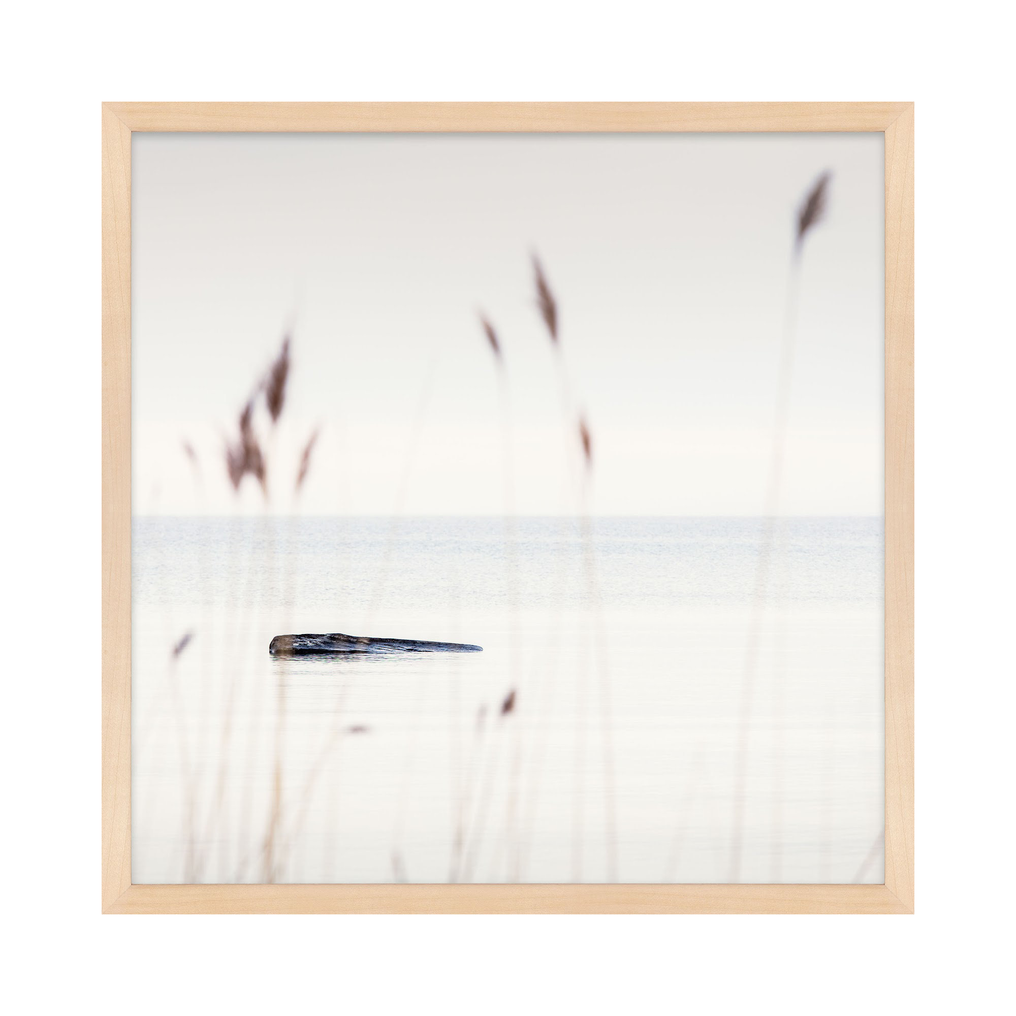 Georgian Bay Shore by Peter Dušek, Brown, 16" H x 16" W x 1.25" D