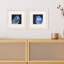 Vivid Bird I Set by Wang Propac Images