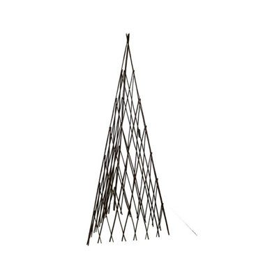 Willow Expanding Teepe Trellis