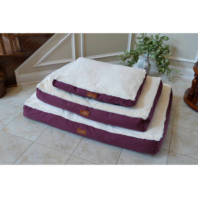 Toile avec tapis pour chien en peluche, Très grand (l 50 po x P 36 po x H 8 po)