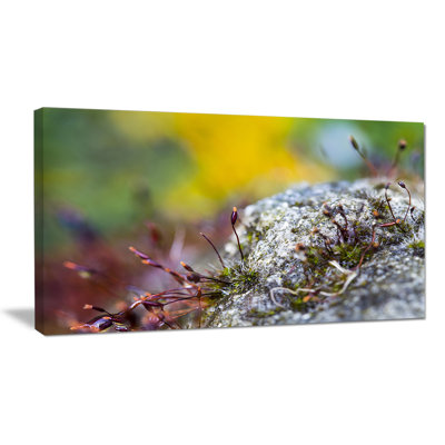 Composition abstraite de fleurs en mousse moderne, reproduction de photo sur toile tendue