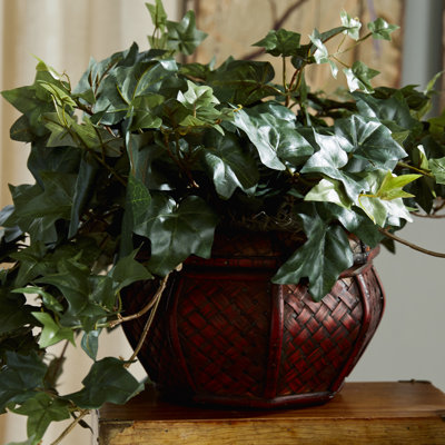 18 " H Faux Ivy Plant