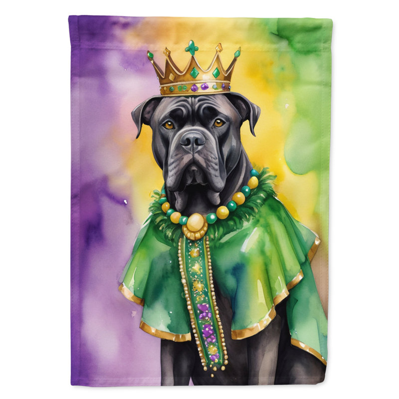 Double Sided 28'' H x 40'' W Polyester Mardi Gras House Flag