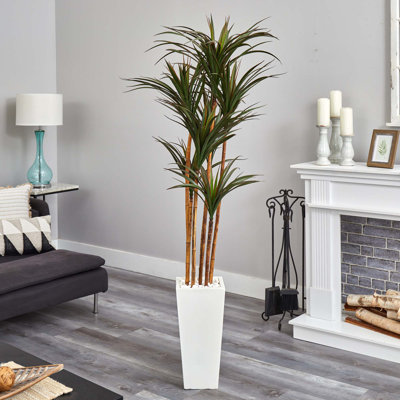 6.5ft. Giant Yucca Artificial Tree in White Planter UV Resistant