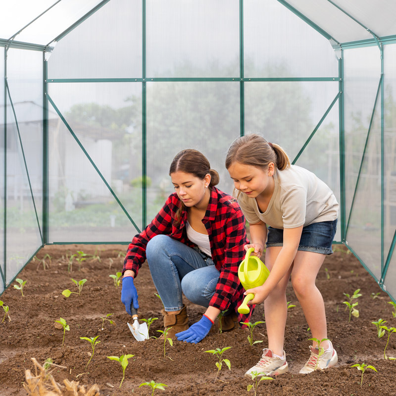 6.2ft. W x 8.2ft. D Hobby Greenhouse, Green