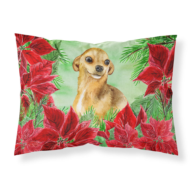 Taie d’oreiller poinsettas, Chihuahua brun