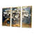 Toile avec cadre flottant or