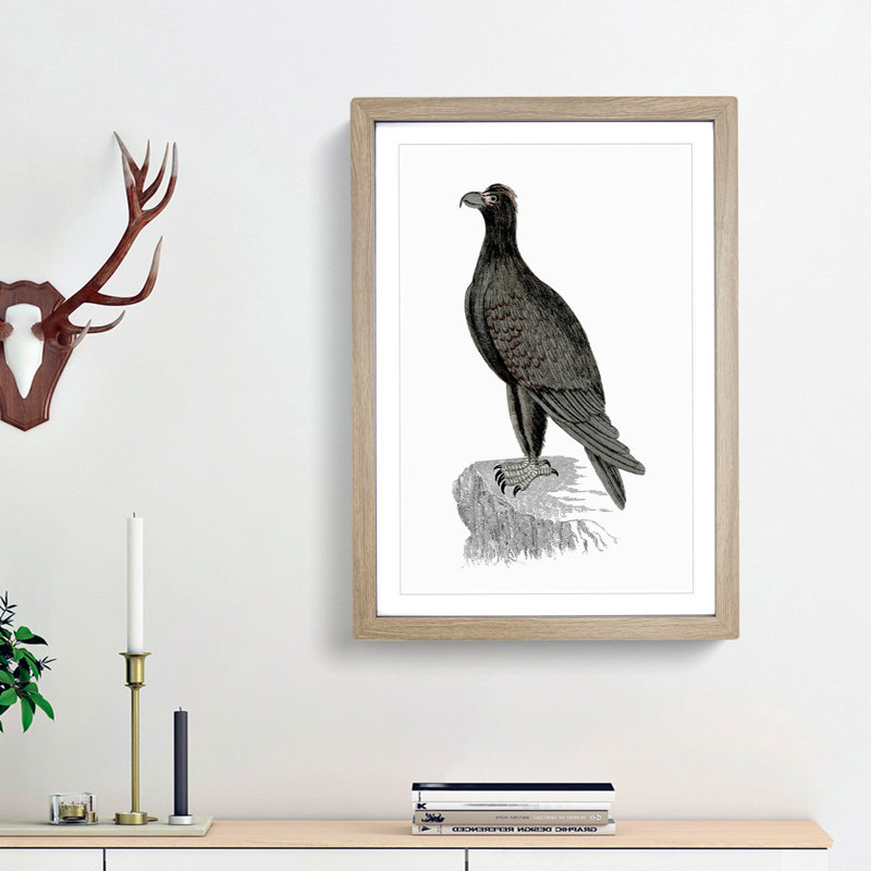 Mountain Eagle Illustration - Framed Print, 36cm H x 27cm W x 2cm D, Oak Framed