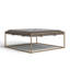Haysi Single Coffee Table