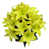 Jaune est en rupture de stock