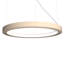 Luminaire suspendu à cadre DEL-68924983-69150234