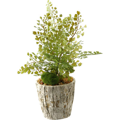 16 " H Faux Moss and Fern Plant in Cement Planter