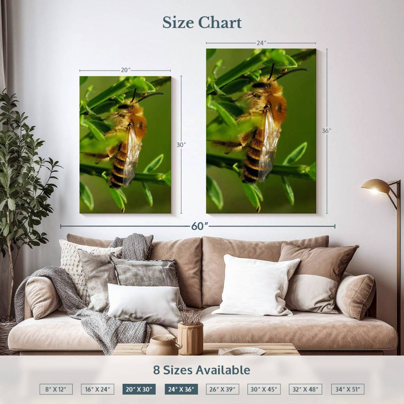 Brampt Bee Bee Bee, 36" H x 24" W
