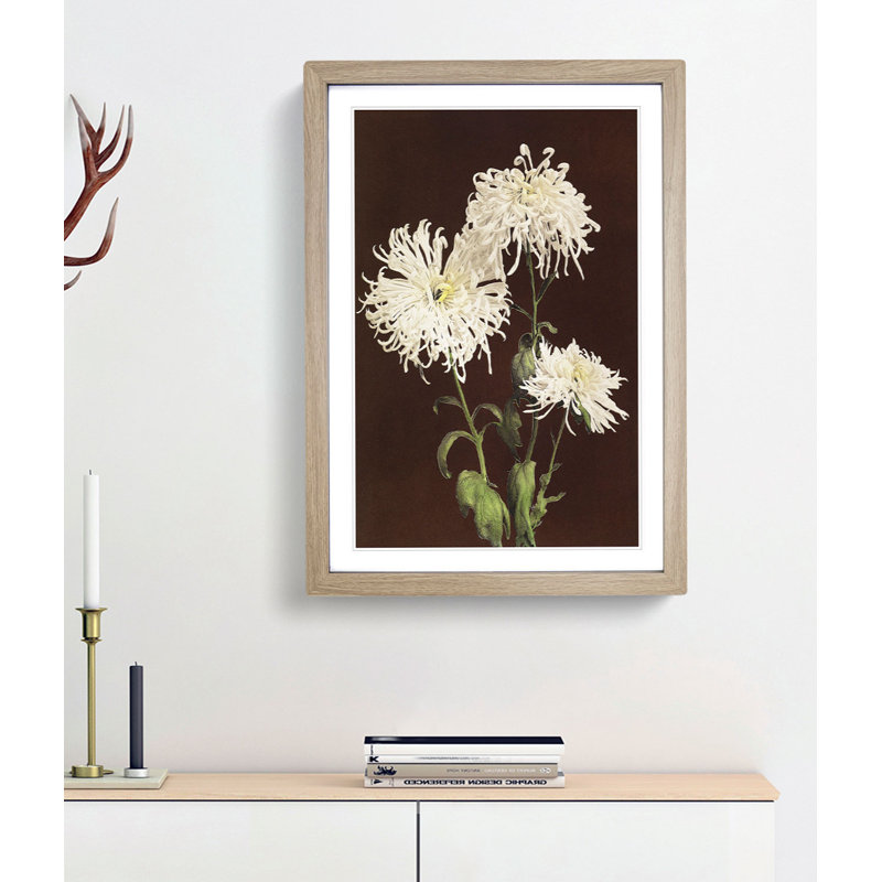 White Chrysanthemums by Kazumasa Ogawa - Framed Print, 65cm H x 48cm W x 2cm D, Oak Framed