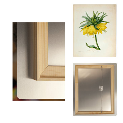 Fritillaria Imperialis, var. jaune (1827) — Portrait en métal
