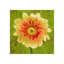 Flor Urbana IV Painting-26937101-26937096
