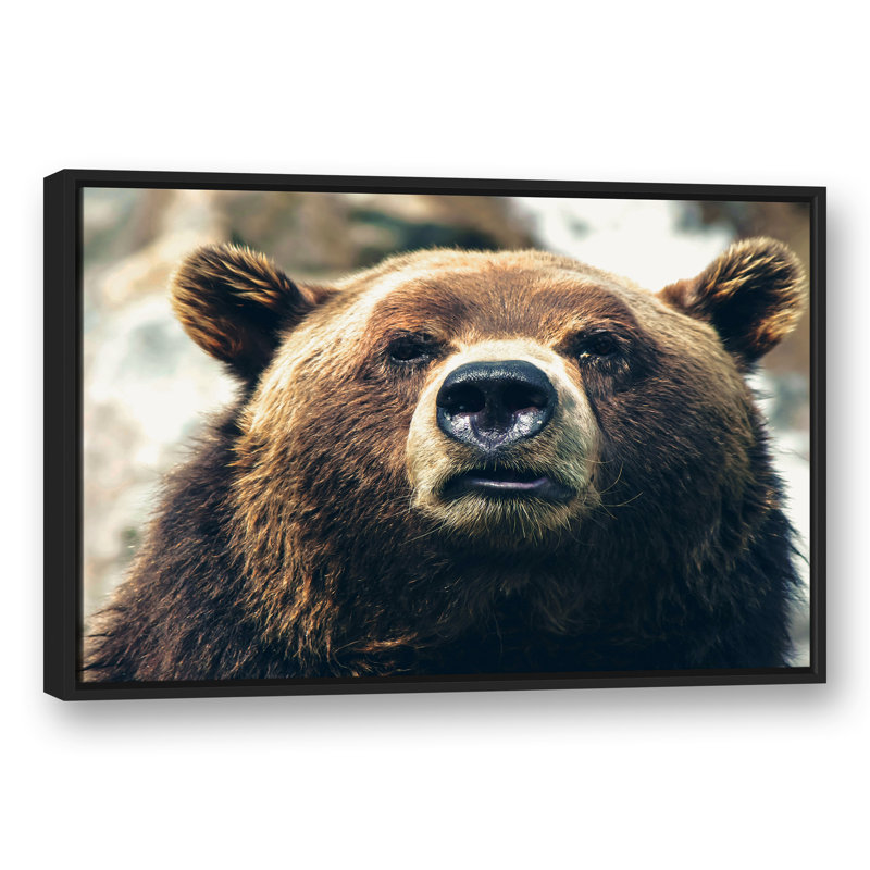 «Grizzly Bear», reproduction sur toile, H 13,75 po x l 37,75 po x P 1,75 po