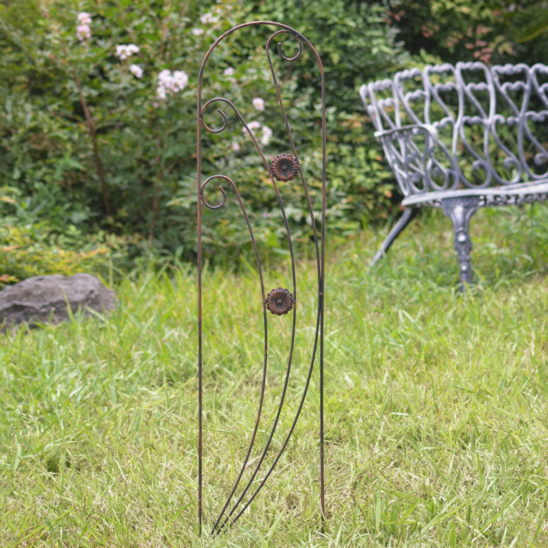 Trellis arqué kazafani, 4'