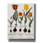 «Tulips» par Art Licensing Studio, art mural sur toile-2098442929
