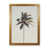 Oak Framed