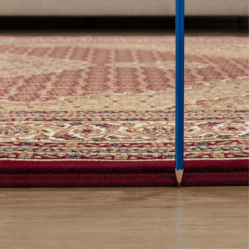 Red Area Rug, Rectangle 2' x 3'