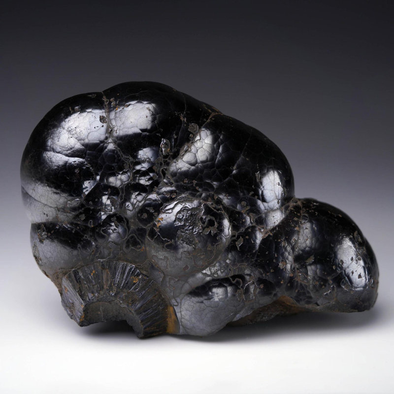 Botryoidal Hematite From Morocco – 1.55 Lb.