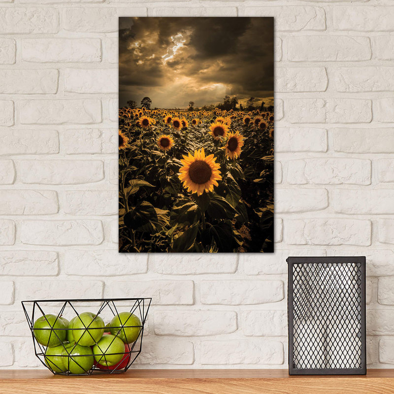 Sunflowers by Enzo Romano - Wrapped Canvas Print, 45.72cm H x 30.48cm W x 1.91cm D