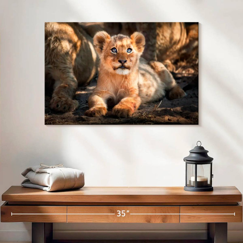 Lion safari Brampt, H 16 po x l 24 po