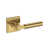 Polished Brass