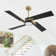 Kyliegh 56'' 4-Blade DC Motor Ceiling Fan with LED Light and Remote