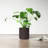 Parsons Handmade Ceramic Pot Planter-94670974-94670980