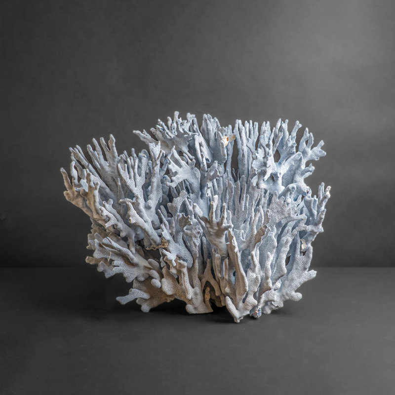Genuine Blue Ridge Coral (15", 15 Lbs)