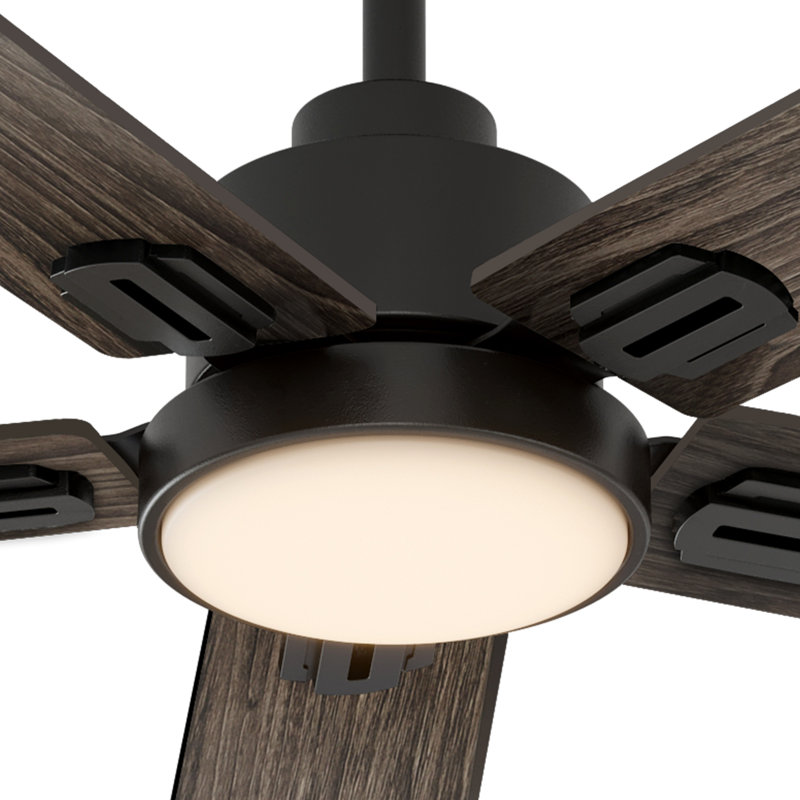 62"（5-Blade）Ceiling Fans with LED Lights and Remote Control, Black