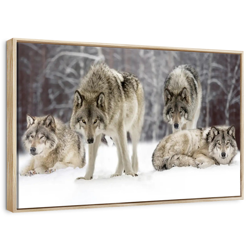 Loup, Cadre flottant en bois naturel, 37 po x 25 po