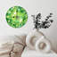 Horloge sur fond vert