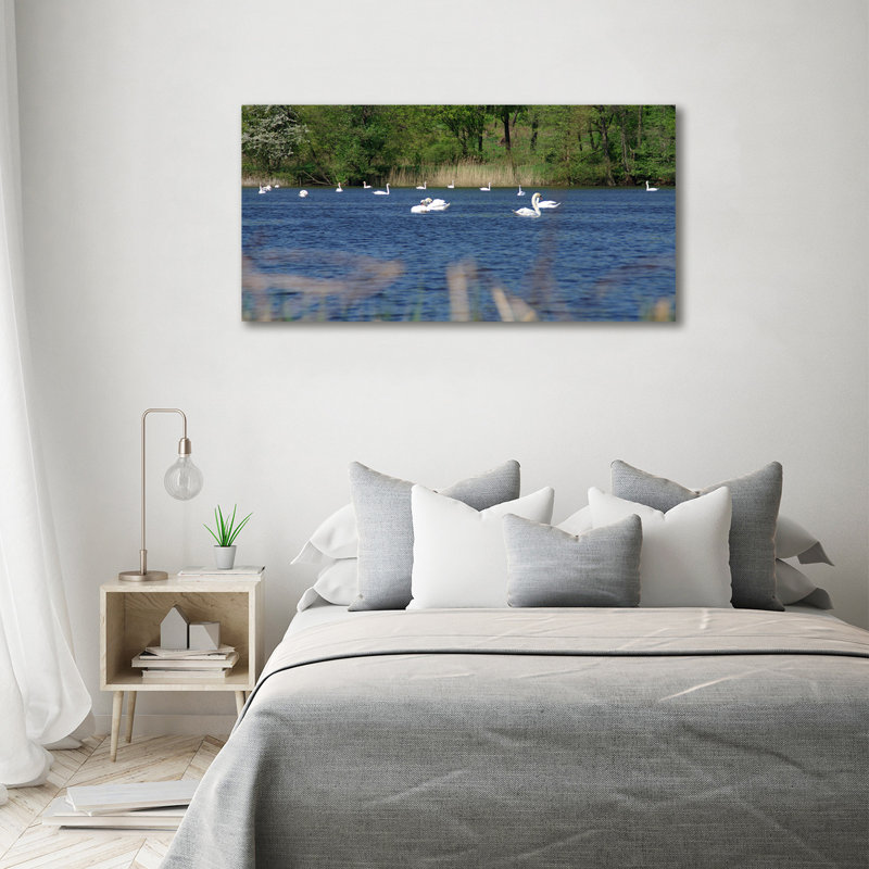 White Swans - Wrapped Canvas Print