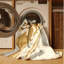 Tapis de style traîneau à chiens pour véhicule et transport lavable à la machine - beige-397735681