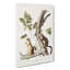 Douglass's Squirrels by Kawanabe Kyosai - Wrapped Canvas Painting-55342573