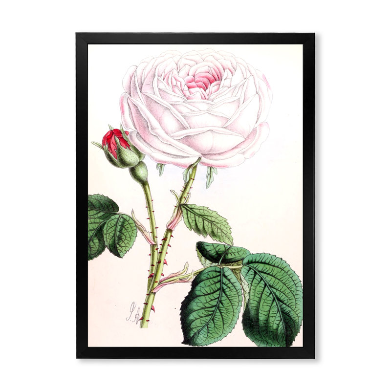 Fleur rose rétro - peinture sur toile, H 32 po x l 16 po x P 1 po, Cadre photo noir