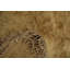 Tapis traditionnel classique 9 x 12 pour une décoration élégante