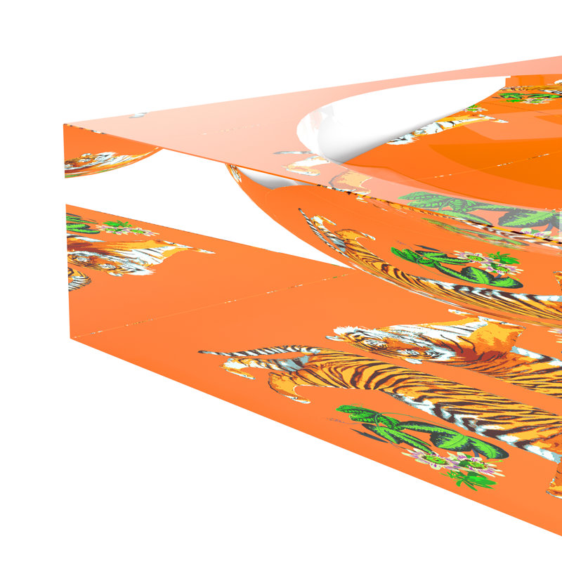 Tiger Seeing Double Orangerie Acrylic Candy Catchall Dish