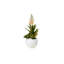 Agave Succulent Arrangement in White Ceramic Sphere