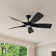 60'' Ceiling Fan with LED Lights