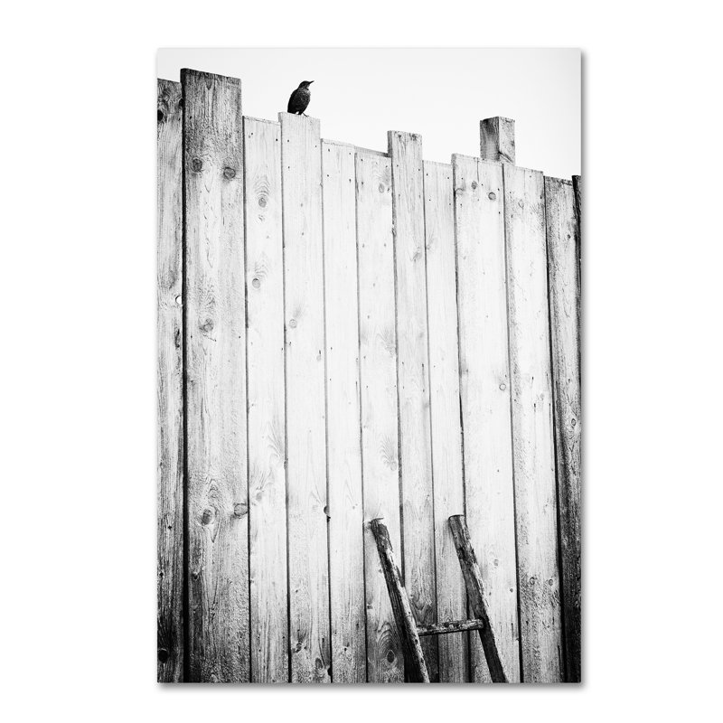 « freeed », reproduction sur toile tendue, H 19 po x l 12 po